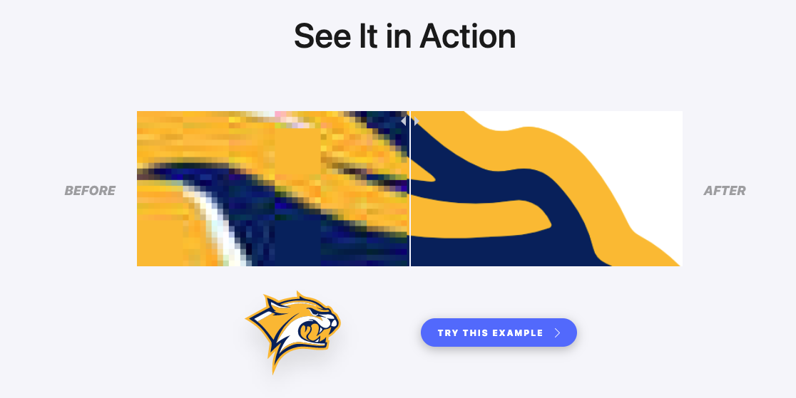Vectorizer.AI-矢量圖在線轉換工具