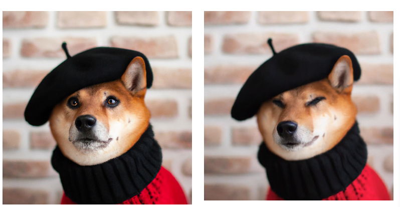 OpenAI Sora官方技術(shù)報(bào)告中文版:《作為世界模擬器的視頻生成模型》