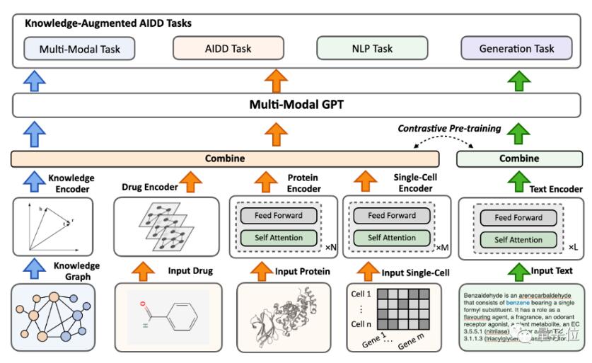 BioMedGPT-清華開源的生物醫(yī)藥基礎(chǔ)模型